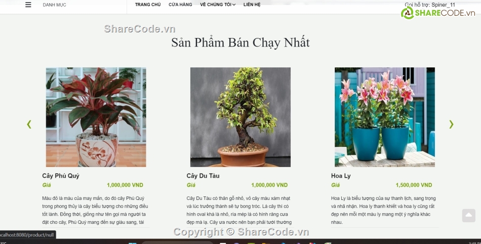 website bán hàng,Website bán cây cảnh,code Website bán cây cảnh,code đồ án,báo cáo đồ án